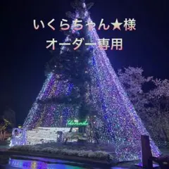 いくらちゃん★様オーダー専用ページ