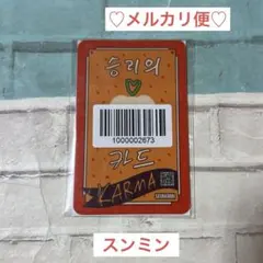 Stray Kids スンミン　FANS リアルタッチフォトカード　スキズ