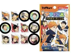 ハイキュー!! アクリミニ アクリルキーチェーン 全5種類×各2セット