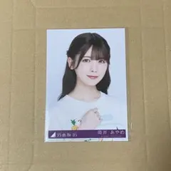 Item thumbnail for item cf140bbb-d4c7-4596-bc39-219b3330171a