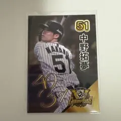 YT様 リクエスト 2点 まとめ商品