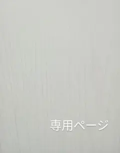 さっちゃん様専用ページ