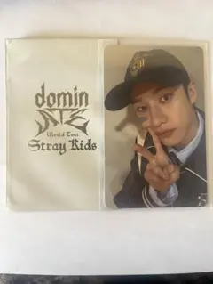 straykids スキズ バンチャン dominATE 1万円購入特典 トレカ