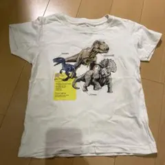 Item thumbnail for item 9025623a-5f7f-4395-9541-8b03f496dd86