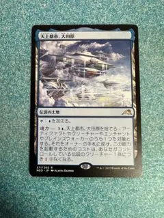 2026年最新】大田原 mtgの人気アイテム - メルカリ