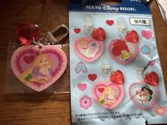 東京ディズニーリゾート ラプンツェル キーチェーンのサムネイル