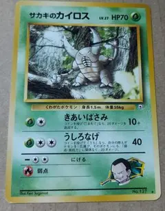 2025年最新】サカキのカイロスの人気アイテム - メルカリ