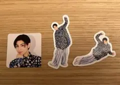 ポートレートシリーズ 2023  ラウール フレークシール