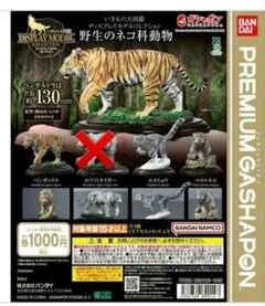 野生のネコ科動物 いきもの大図鑑 3点