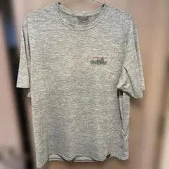 美品 Patagonia パタゴニア キャプリーン デイリー グラフィックT