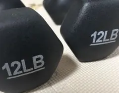 12LB 5kg ダンベル 黒のサムネイル