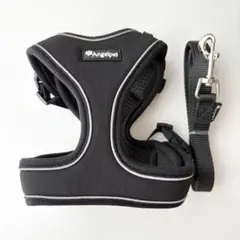 Item thumbnail for item fbacac61-cb45-4f73-9361-2050d965c884