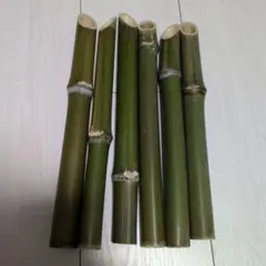 Item thumbnail for item 55068385-87b5-4e64-92e5-123cf737d56e