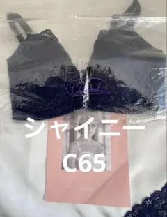 2025年最新】シャンデール ショーツ 新品の人気アイテム - メルカリ