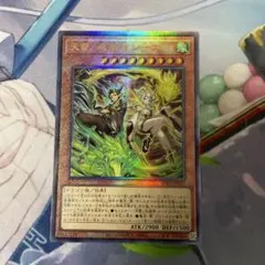 2026年最新】天雷ノ双風神 シーナの人気アイテム - メルカリ