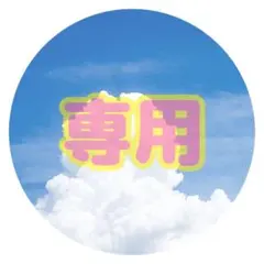 専用出品