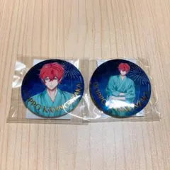 【ヒプマイ】観音坂独歩　オンラインくじ　缶バッジ2点セット