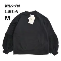 Item thumbnail for item 7e55345a-54e0-4510-b86c-166944a0bced