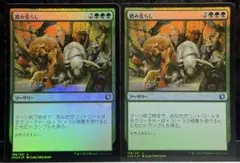 MTG 踏み荒らし/Overrun 日本語 4枚セット - メルカリ