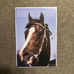 サラブレッドコレクション ポストカード マヤノトップガン