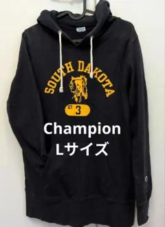 Champion レディース サウスタゴタプリント パーカー L 18のサムネイル