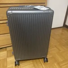 CICIBELLA シシベラ　スーツケース　Mサイズ　グレー　キャリーケース