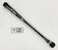 Mizuno Pro ICHRO51 262 HITS 記念バット - メルカリ