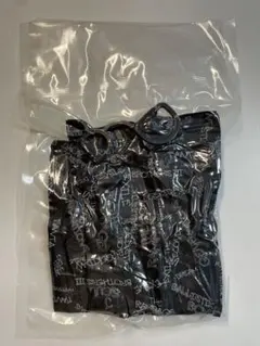 EXILE TRIBE FAMILY 継続特典 バック