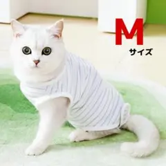 Item thumbnail for item 138350f4-e47d-46d4-a3cd-584813e699ee