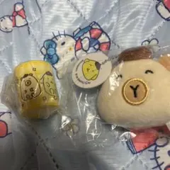チェゴシム✖️サンリオキュラクターズ