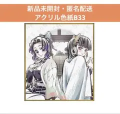 鬼滅の刃 webshopくじ アクリル色紙 胡蝶しのぶ 栗花落カナヲ B33 ③