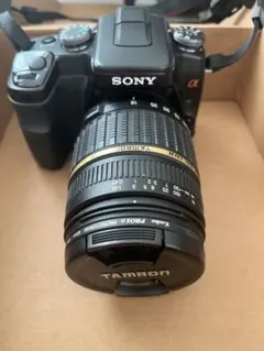 ☆秋の一眼入門☆SONYα100高倍率ズームキット☆おまけ付き☆ - メルカリ