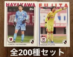 Item thumbnail for item 03daaeb6-716a-44cd-b58d-26f48480db5c