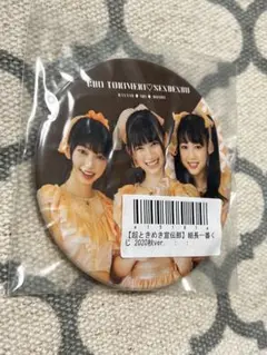 【1つ〜専用出品可能】超ときめき♡宣伝部　缶バッジ・アクリルキーホルダー 超ときめき♡宣伝部のきみのハートにロックオンTOUR 2025 〜10th