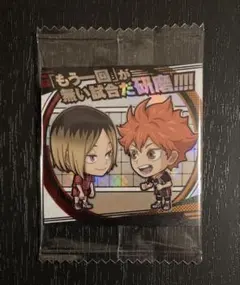 にふぉるめーしょん ハイキュー ウエハース SR 日向翔陽+孤爪研磨