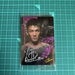 Item thumbnail for item 3577fba6-11b9-4346-a33c-236086aa9a07