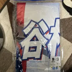 谷村海那 プレイヤーズプリントフェイスタオル