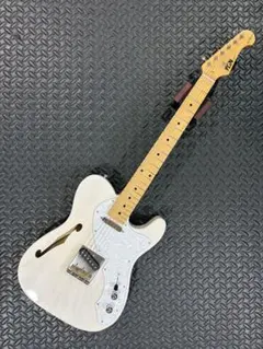 FUJIGEN Telecaster シンライン　(2023年製)のサムネイル