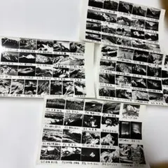 Item thumbnail for item 5e178af0-d3dd-4857-bd4b-d63a5caeb8b7