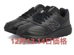 Item thumbnail for item e5ead274-7ae0-4f4f-8191-5eaa672d835e