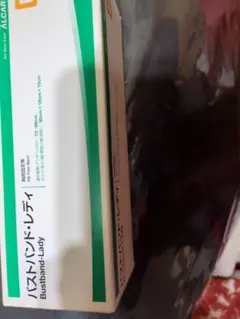 Item thumbnail for item 63c0145c-ed72-4161-90b4-ff8a1b8392ba