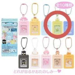 【サンリオ】シークレットミニチュアチェキ用ホルダー(けろけろけろっぴ)キーホルダ