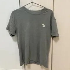 ABERCROMBIE & FITCH グレー 半袖Tシャツ XS
