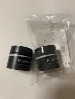 Item thumbnail for item 9e53f967-596d-4d8f-8659-f9c0c770ebd0