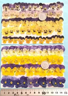 Item thumbnail for item f4ce58a6-cafa-43eb-8e6f-fbddafbb3c84