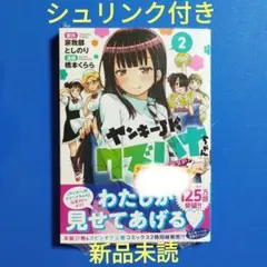 ヤンキーJKクズハナちゃん アナザー・サイド・オブ・ヒロイン 2　シュリンク付き