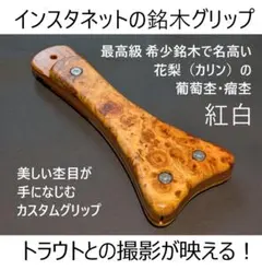 Item thumbnail for item a0b5acc1-07ee-4e36-b946-b9ee92a2ff71