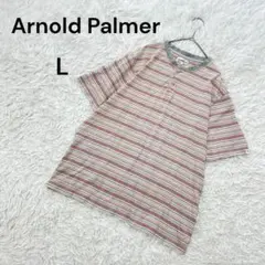 【アーノルドパーマー】L メンズ　半袖Tシャツ　ボーダー　カジュアル　カラフル