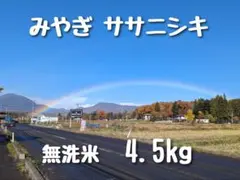 生産農家直売・R7年産 みやぎのササニシキ 4.5kg（30合）無洗米のサムネイル
