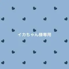 イカちゃん様 リクエスト 2点 まとめ商品